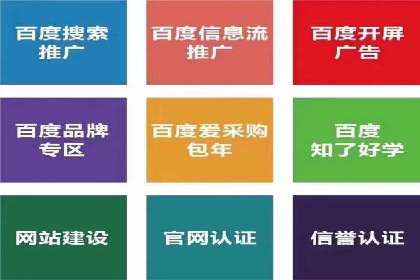 专业SEM托管服务成功案例分享
